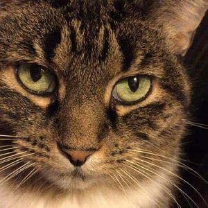 Meet your Posher, Molly